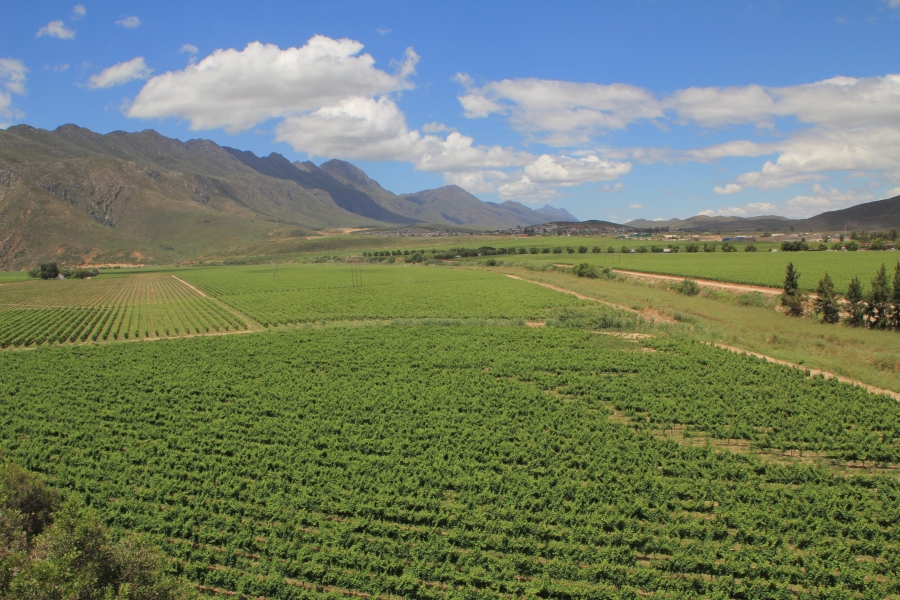 6 Bedroom Property for Sale in Ashton Western Cape